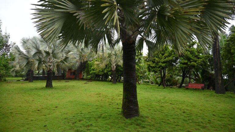 KK_Agro_Tourism_Day_picnic (4)