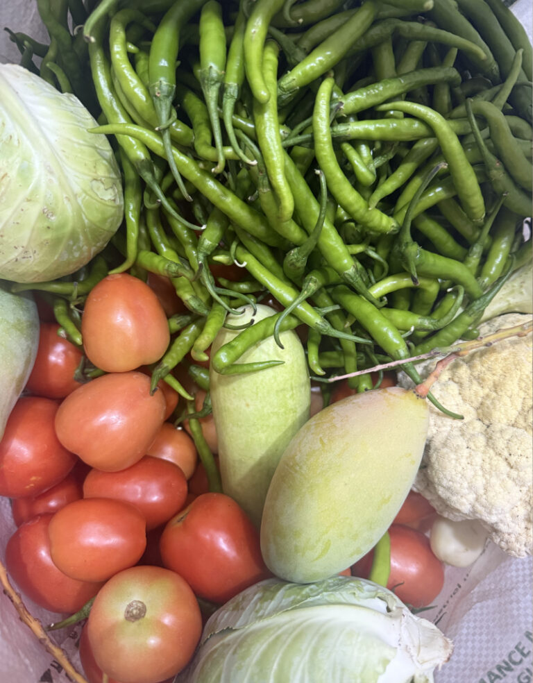 kkagrotourism-fresh veggies